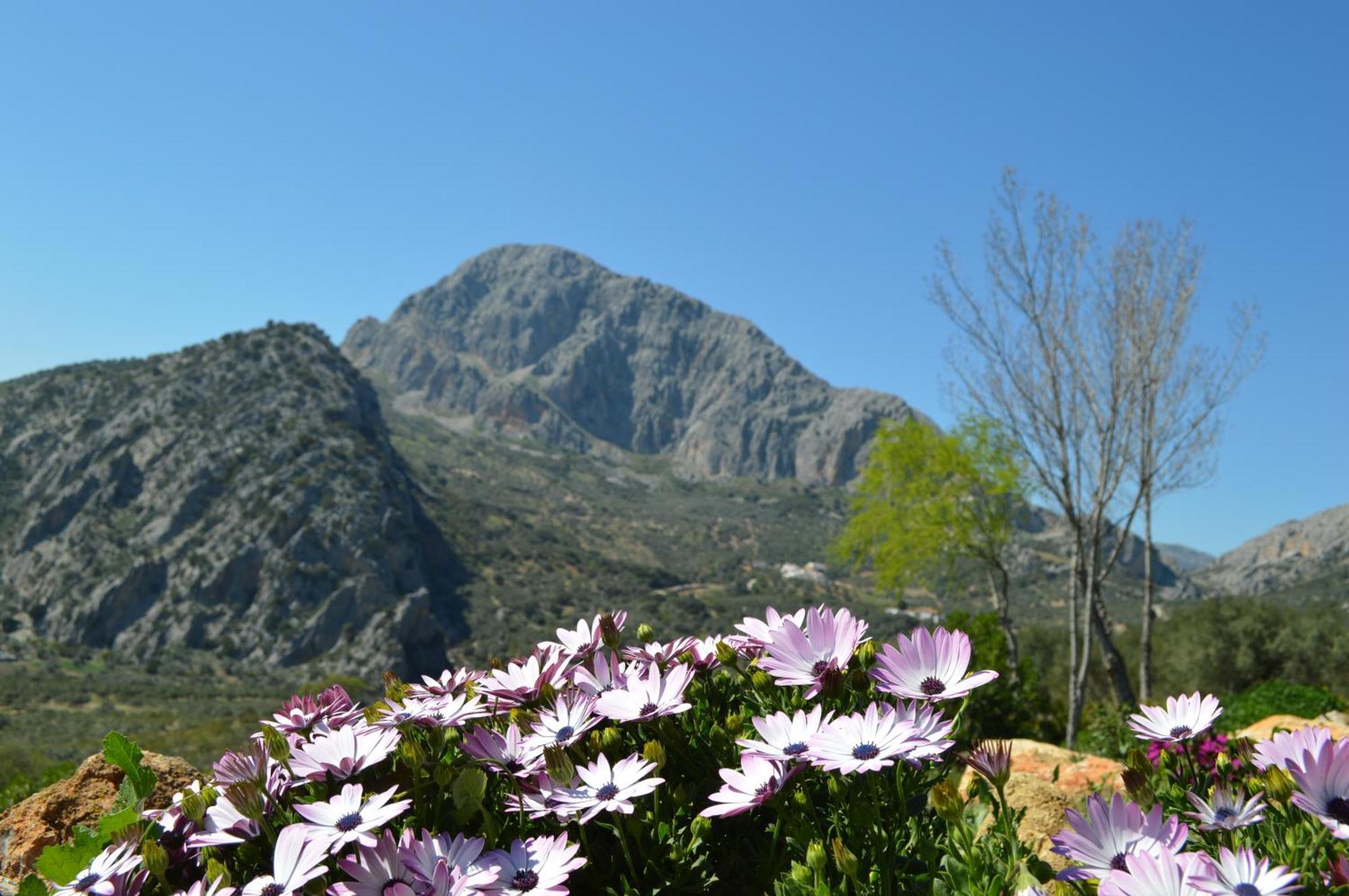 Vila Cortijo Pulgarin Bajo Alfarnatejo Pokoj fotografie