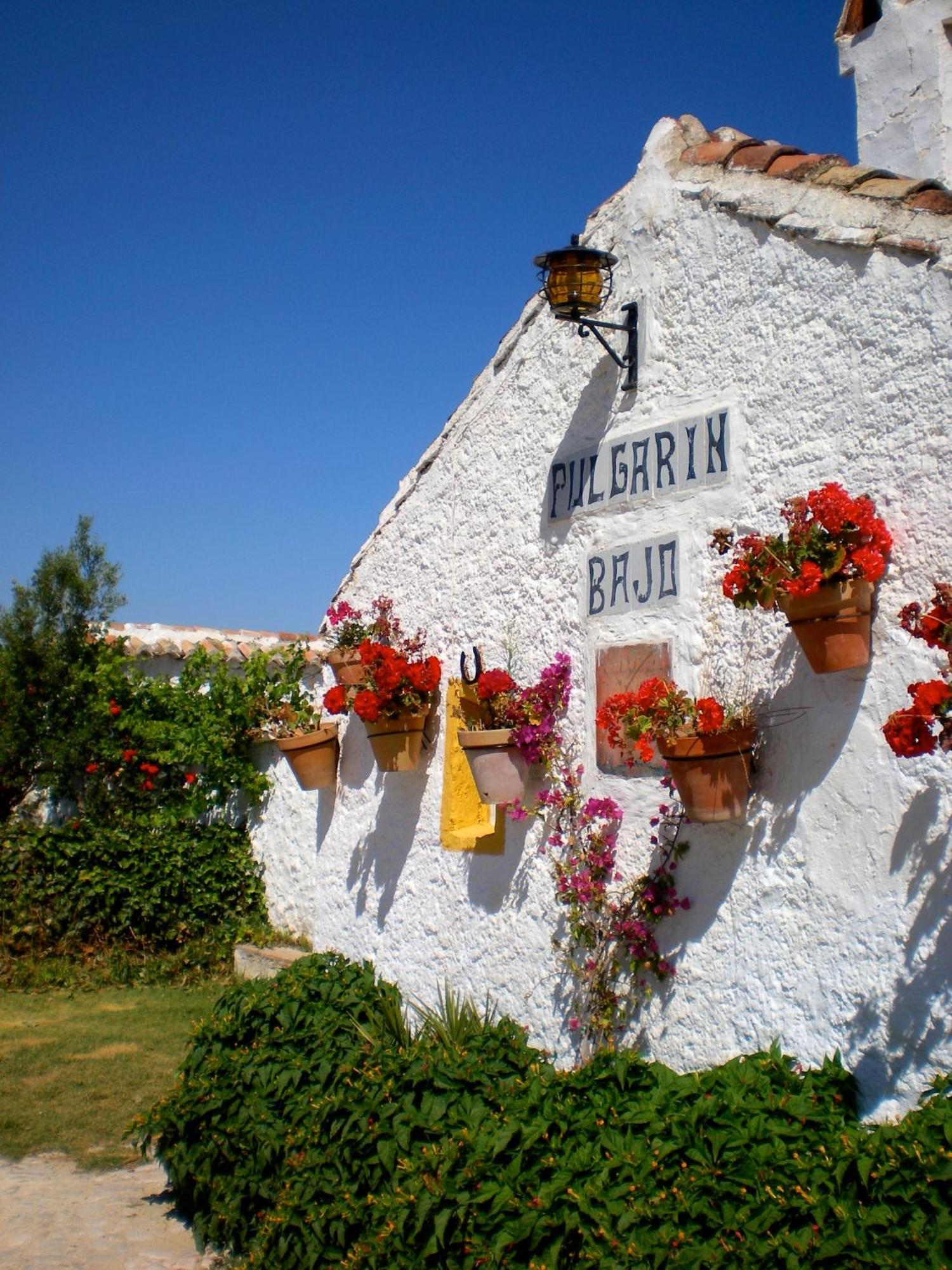 Vila Cortijo Pulgarin Bajo Alfarnatejo Pokoj fotografie