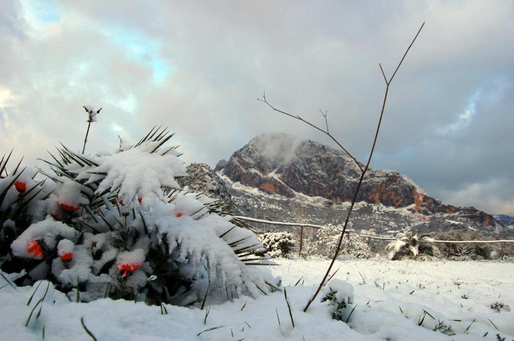 Vila Cortijo Pulgarin Bajo Alfarnatejo Pokoj fotografie