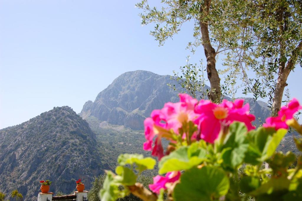 Vila Cortijo Pulgarin Bajo Alfarnatejo Pokoj fotografie
